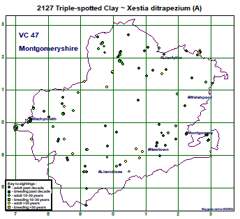 spotted 2127 triple clay map xestia larger